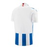 Original Fußballtrikot SC Heerenveen Heimtrikot 2023-24 Für Herren